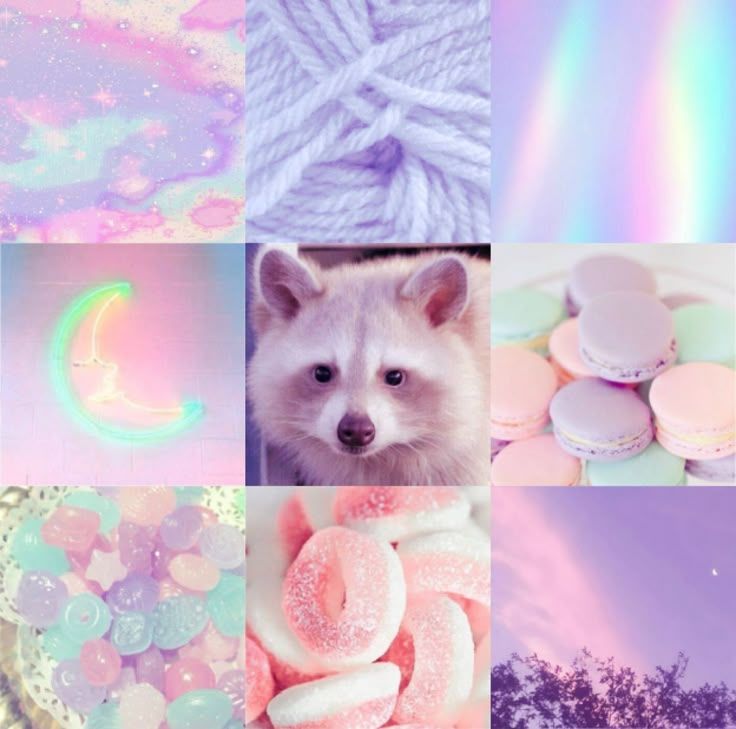 Neon Pastel Racoon Moodboard Ears