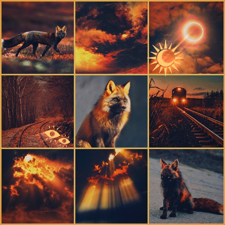 Solar Eclipse Cross Fox Moodboard Ears