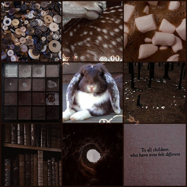 Warm Chocolate Lop Bunny Moodboard Ears