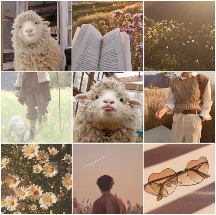 Flower Patch Sheep Moodboard Ears