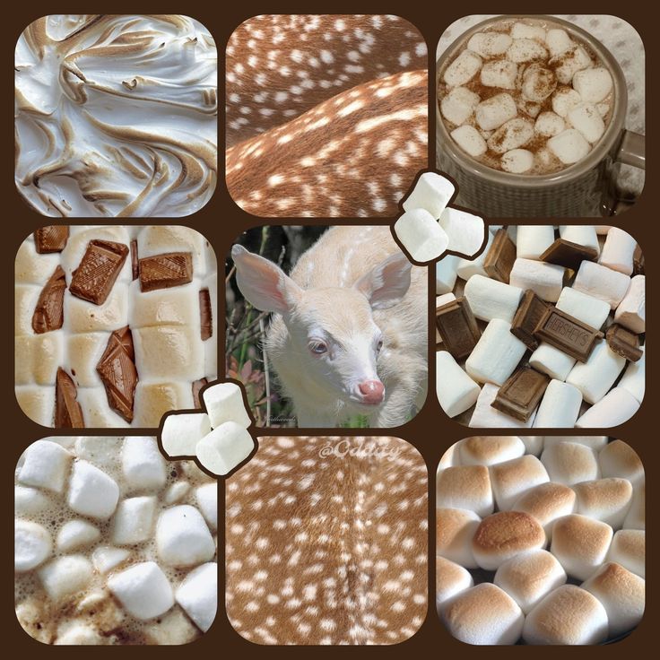 S'mores Pie Deer Moodboard Ears