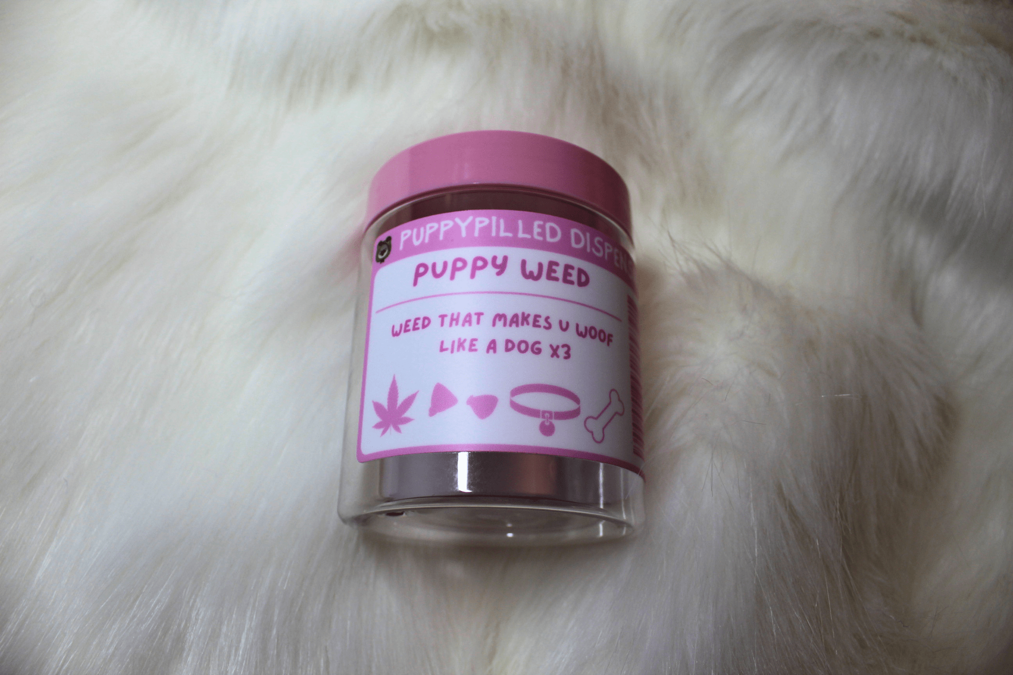 8oz Stash Jars - puppypilled