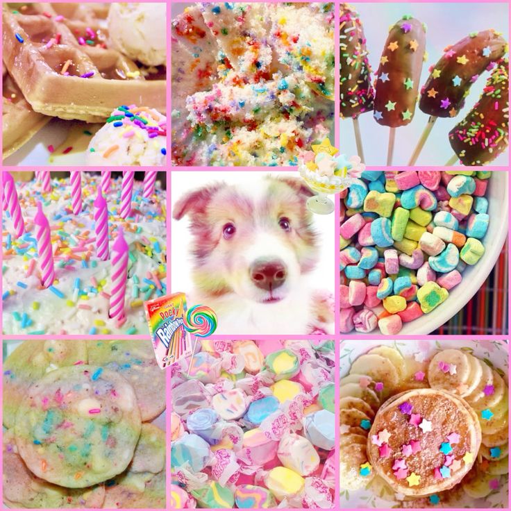 Rainbow Candy Border Collie Moodboard Ears