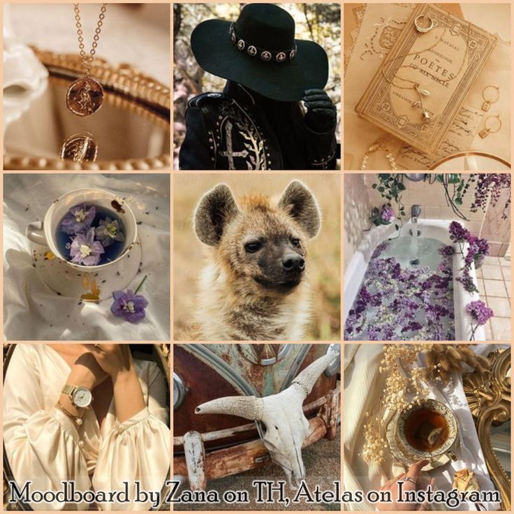 Butterfly Pea Flower Hyena Moodboard Ears