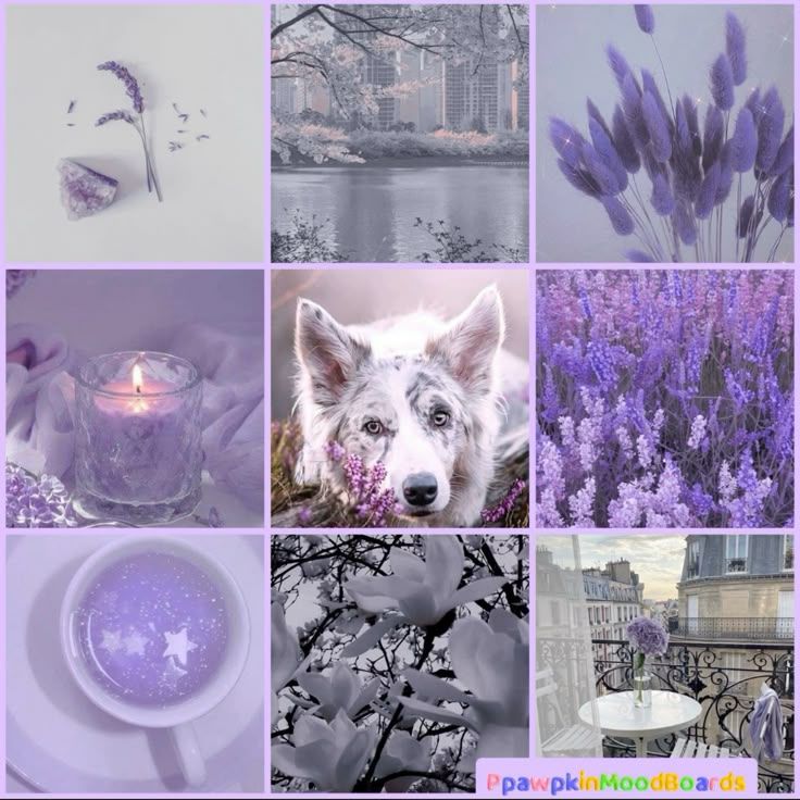 Lavender Dreamy Wolf Moodboard Ears