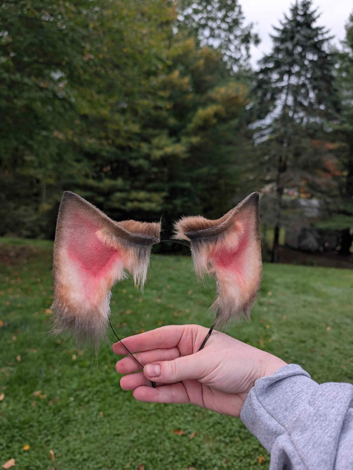 Brown Fox/Wolf Ears