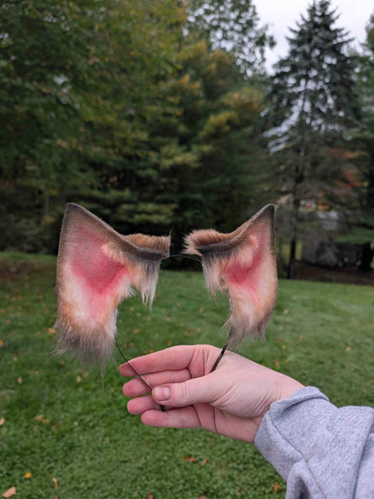 Brown Fox/Wolf Ears