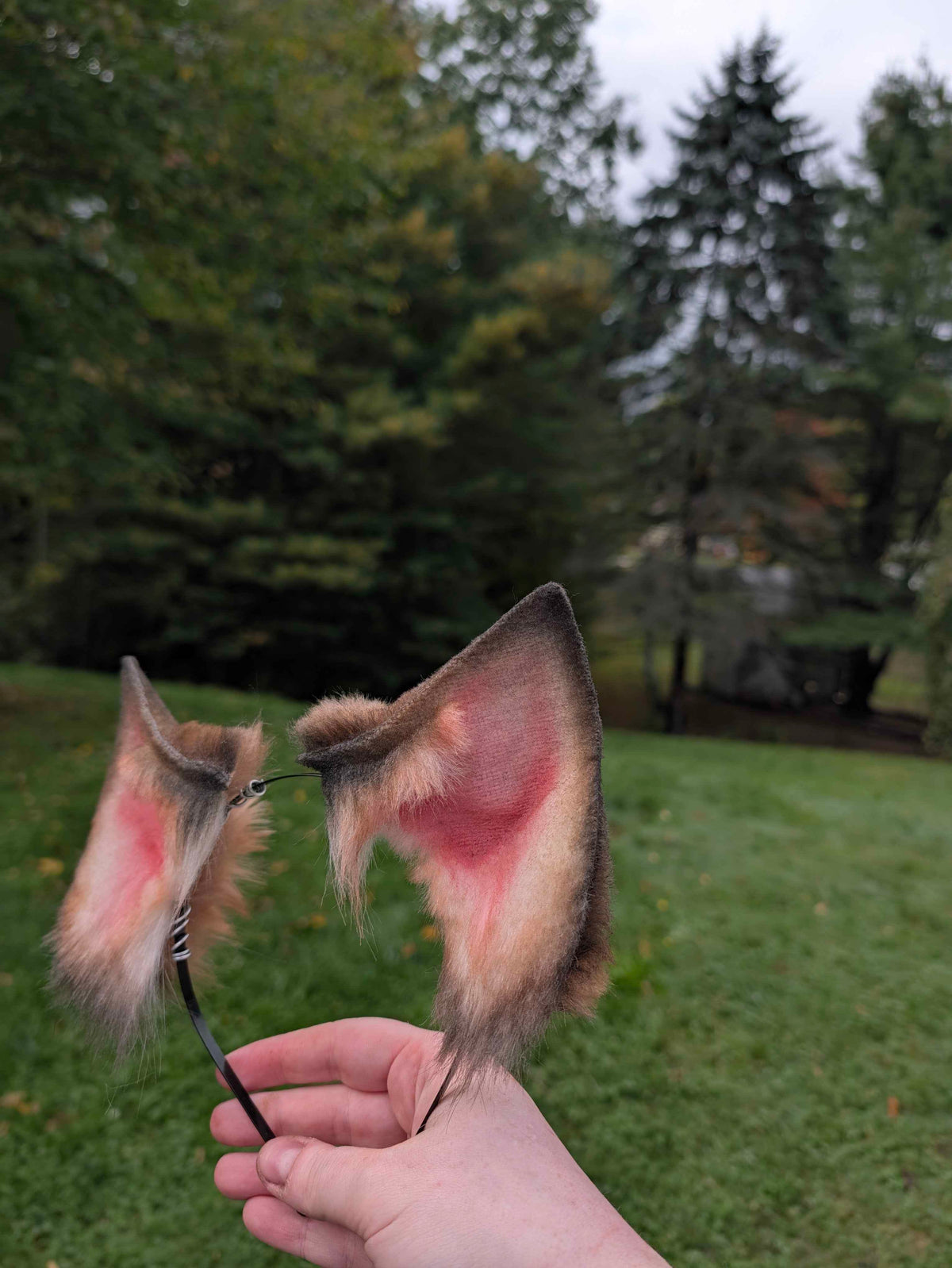 Brown Fox/Wolf Ears
