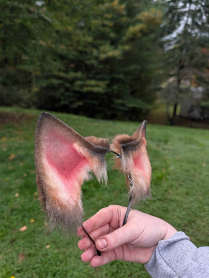 Brown Fox/Wolf Ears