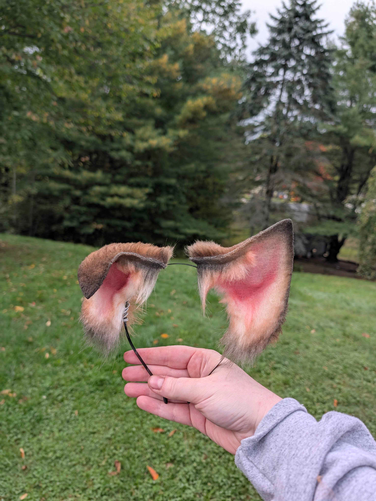 Brown Fox/Wolf Ears