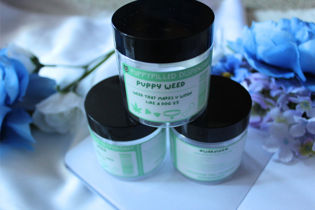 Puppy Weed Stash Jars