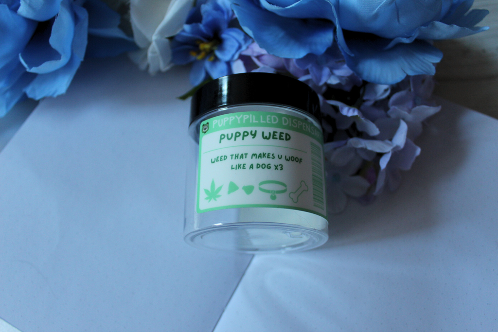 Puppy Weed Stash Jars
