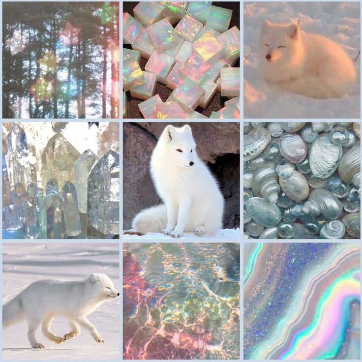 Opal Arctic Fox Moodboard Ears