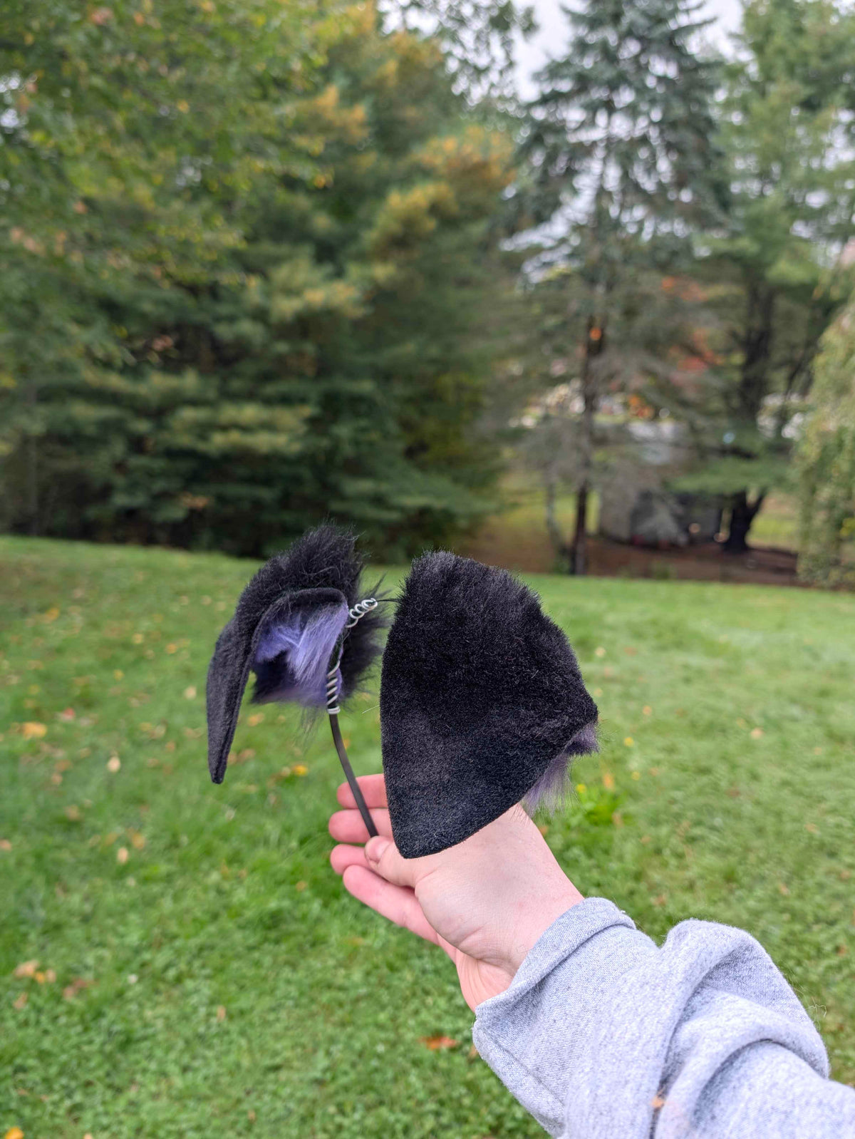 Black/Purple Tall Puppy Ears - DISCOUNTED - puppypilled