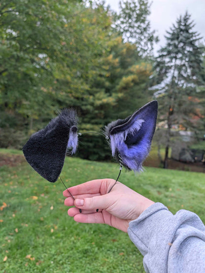 Black/Purple Tall Puppy Ears - DISCOUNTED - puppypilled