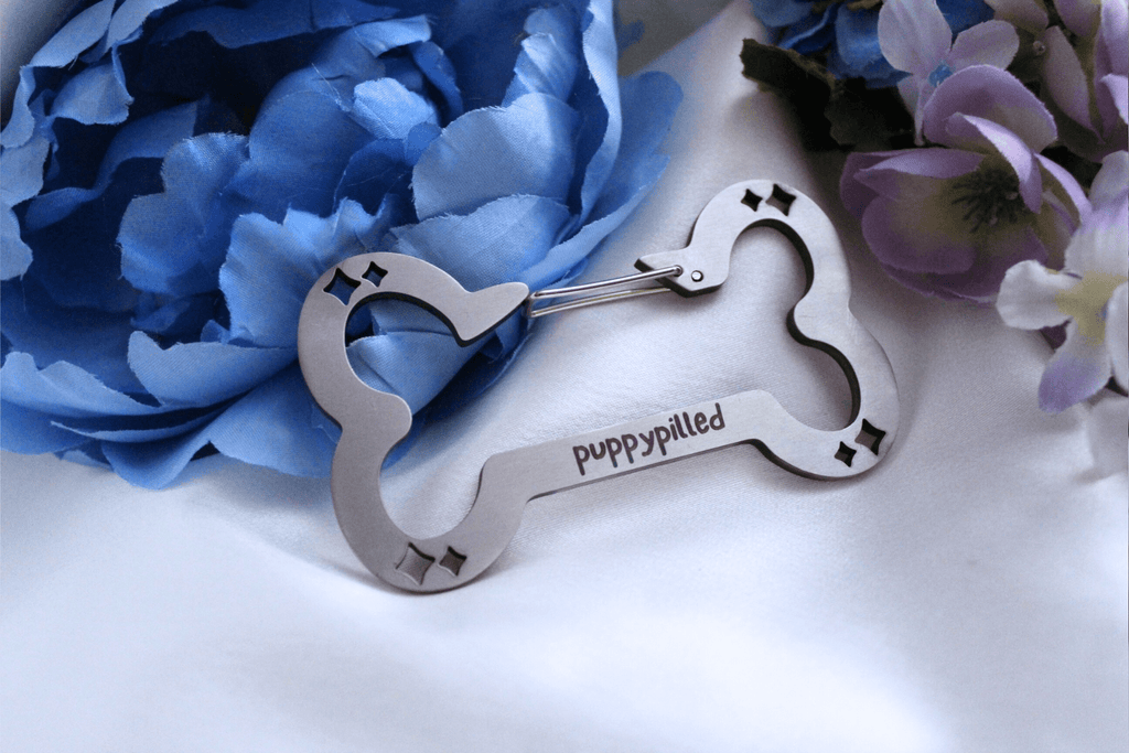 Bone Carabiner~ - puppypilled