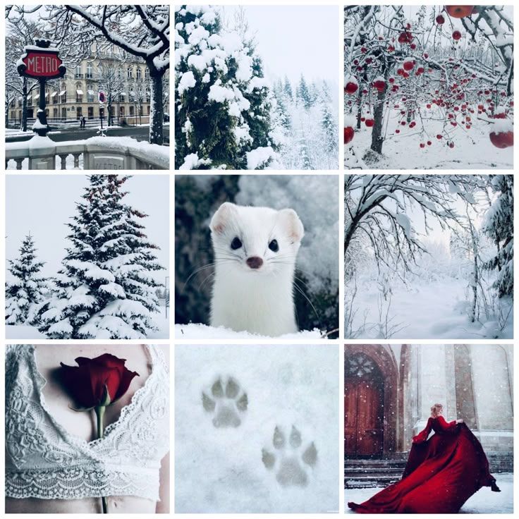 Crimson Snow Mink Moodboard Ears