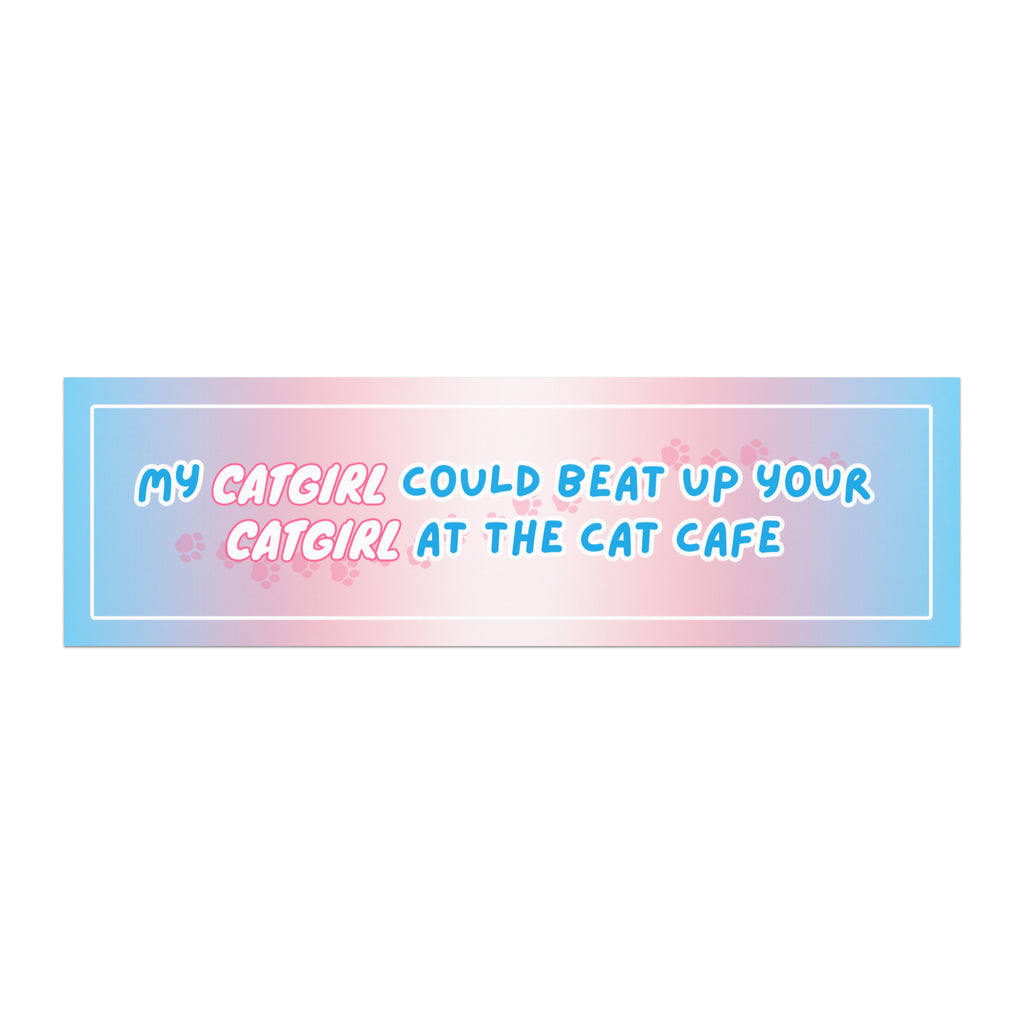 Cat Fight Car Magnets