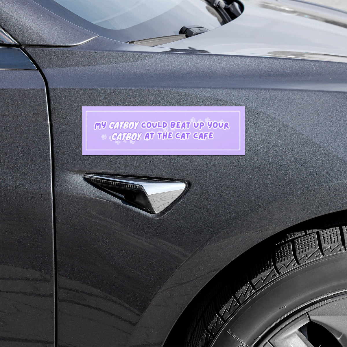 Cat Fight Car Magnets - puppypilled