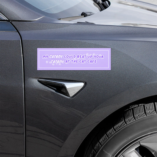 Cat Fight Car Magnets - puppypilled