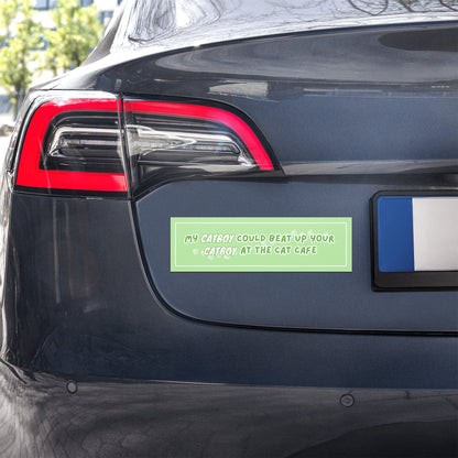 Cat Fight Car Magnets - puppypilled