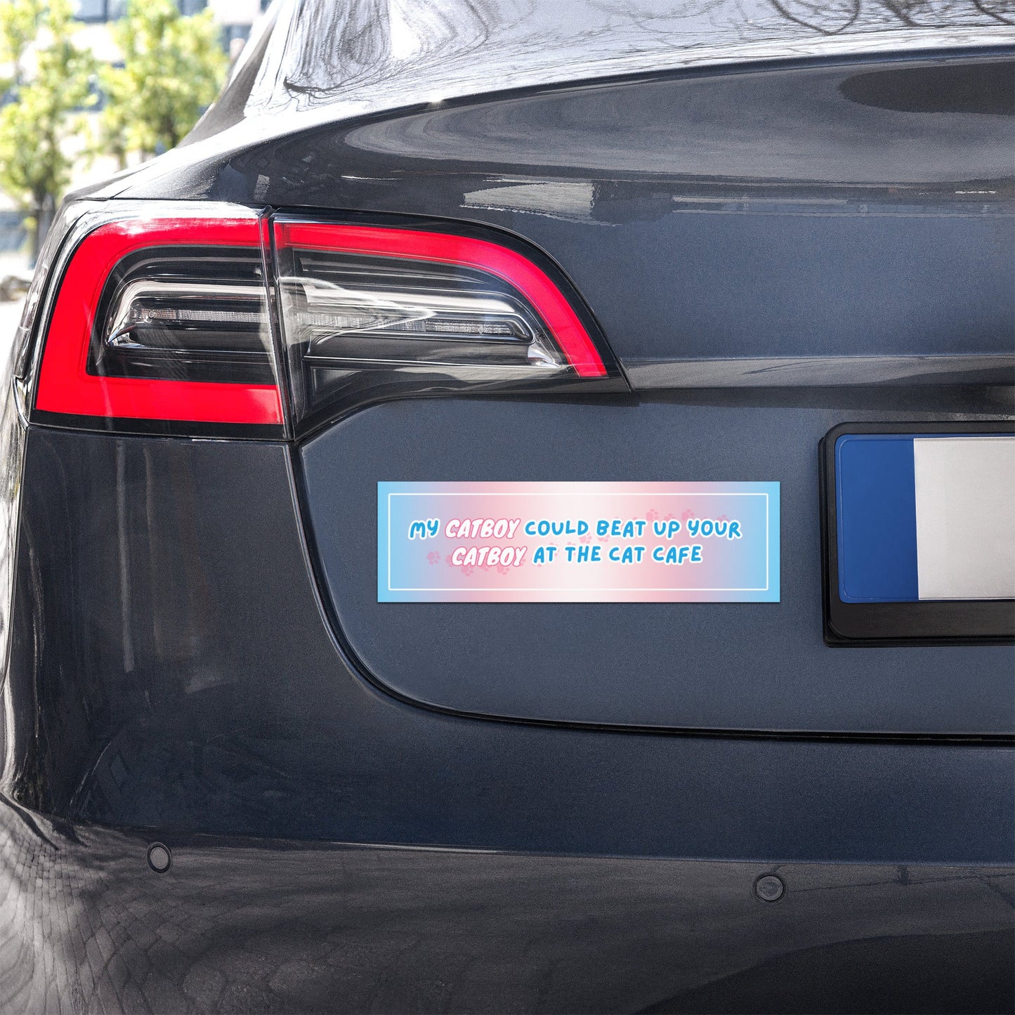 Cat Fight Car Magnets - puppypilled