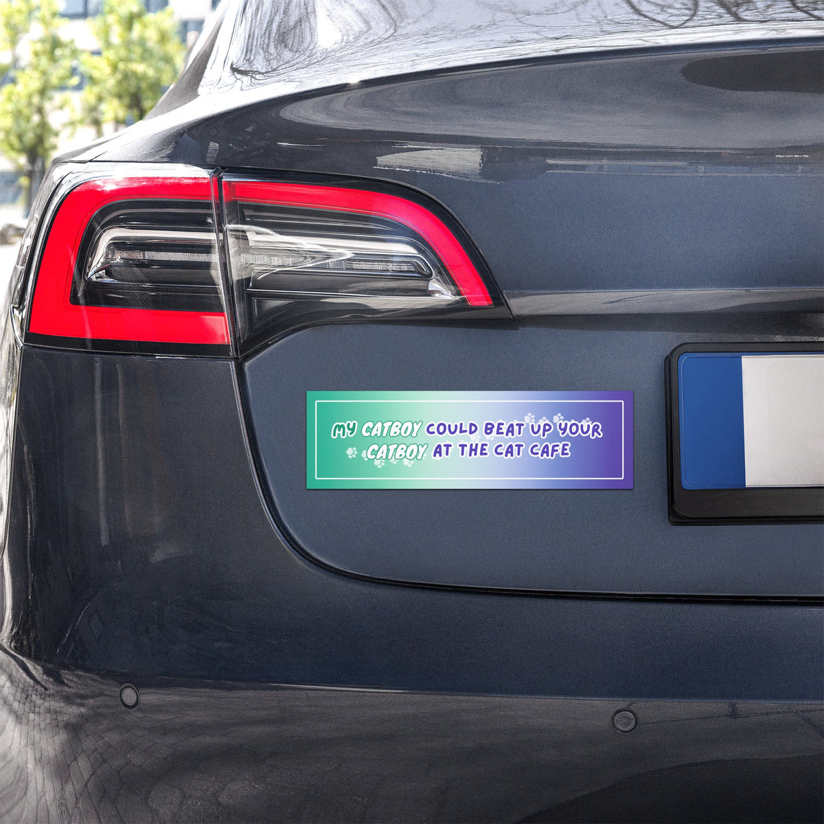 Cat Fight Car Magnets - puppypilled
