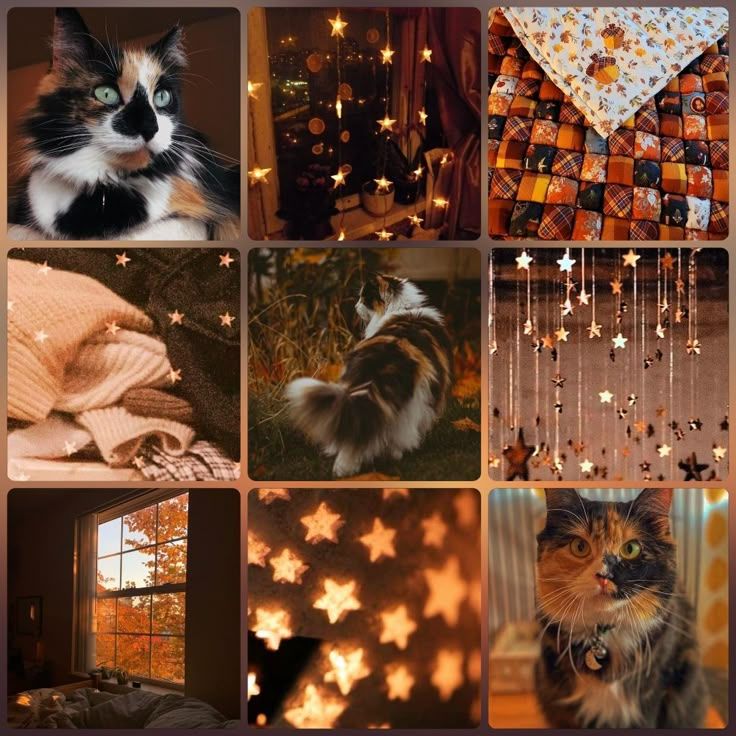 Cozy Autumn Calico Kitty Moodboard Ears