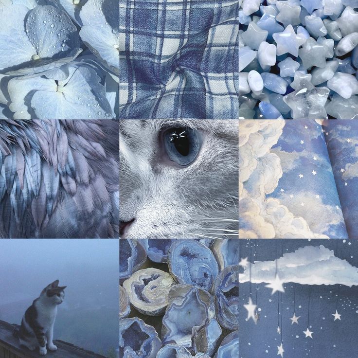 Cornflower Cloudy Sky Kitty Moodboard Ears