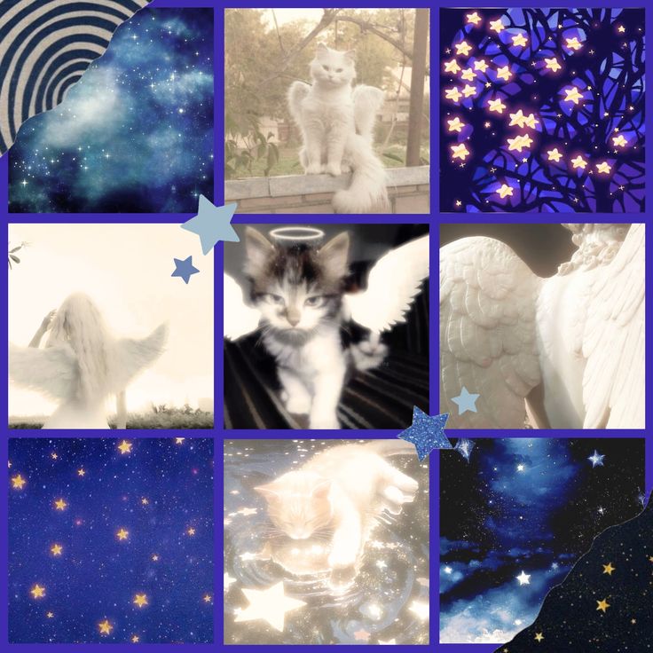 Angelic Starry Kitten Moodboard Ears