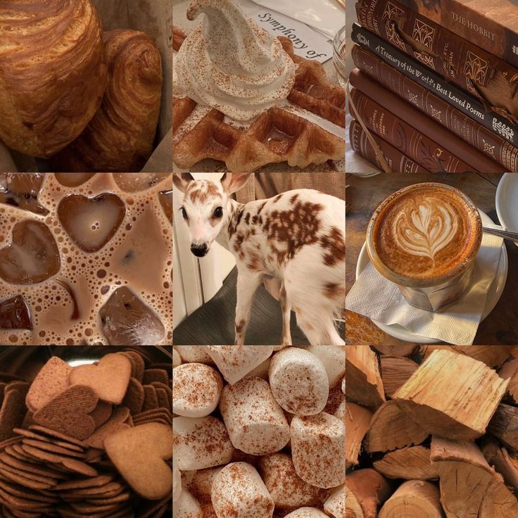 Coffee & Croissants Spotted Deer Moodboard Ears