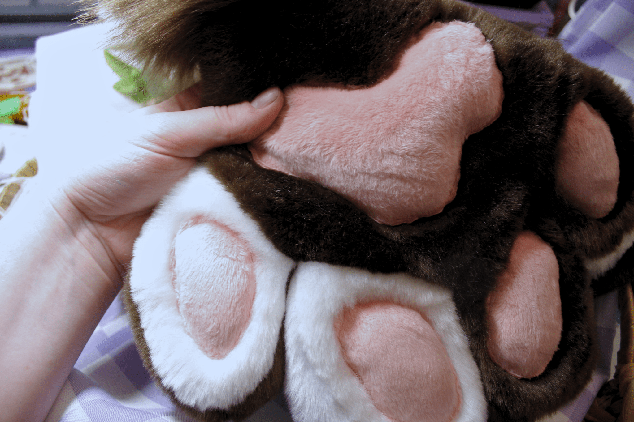 DISCOUNTED Brown + White 4 Finger Paws - puppypilled