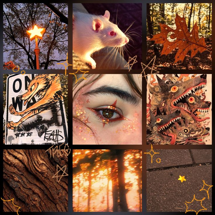 Autumn Forest Rat Moodboard Ears