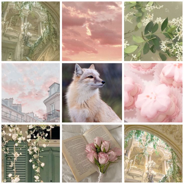 Pastel Rose Fox Moodboard Ears