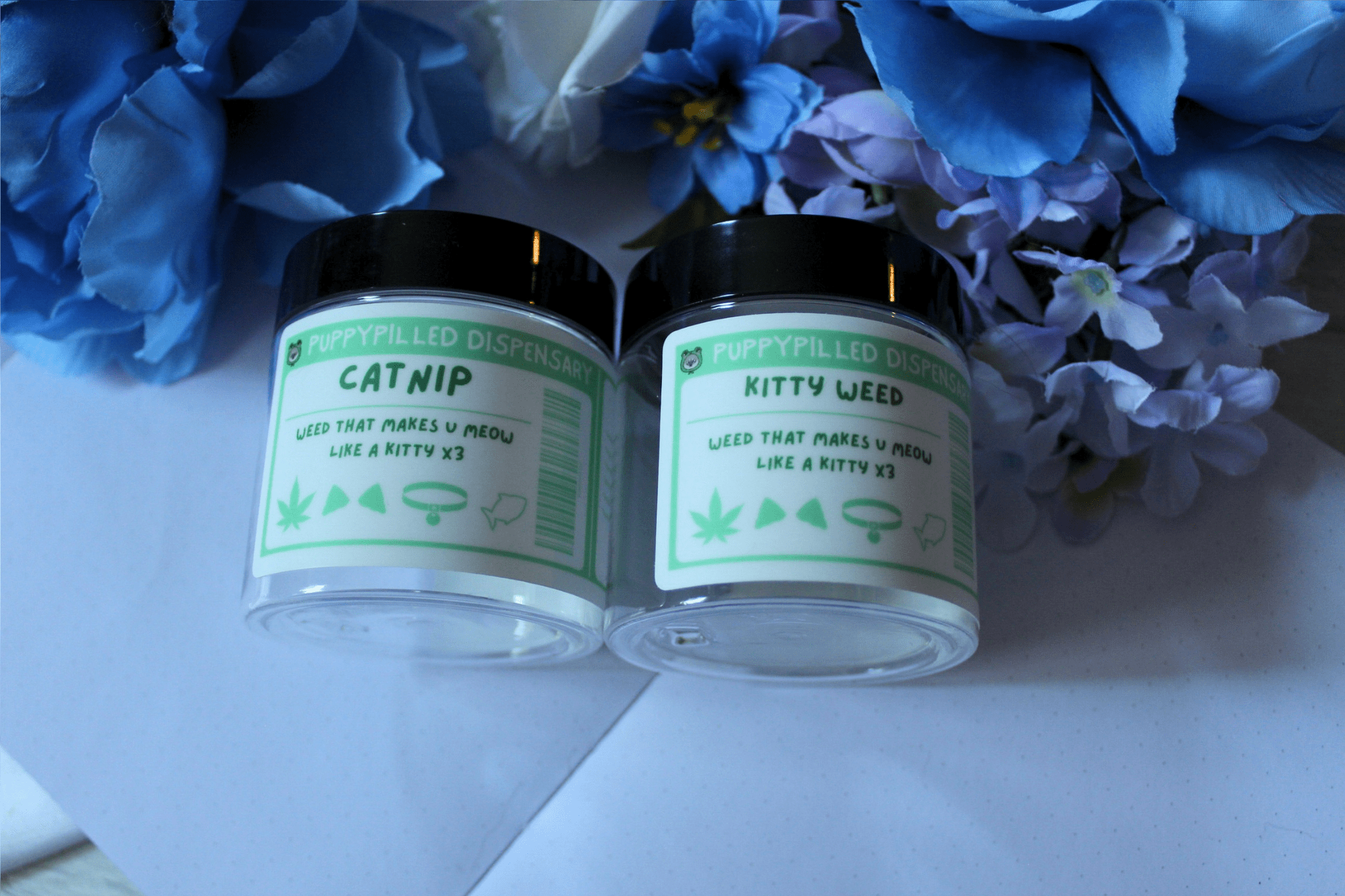 Kitty Weed/Catnip Stash Jars - puppypilled