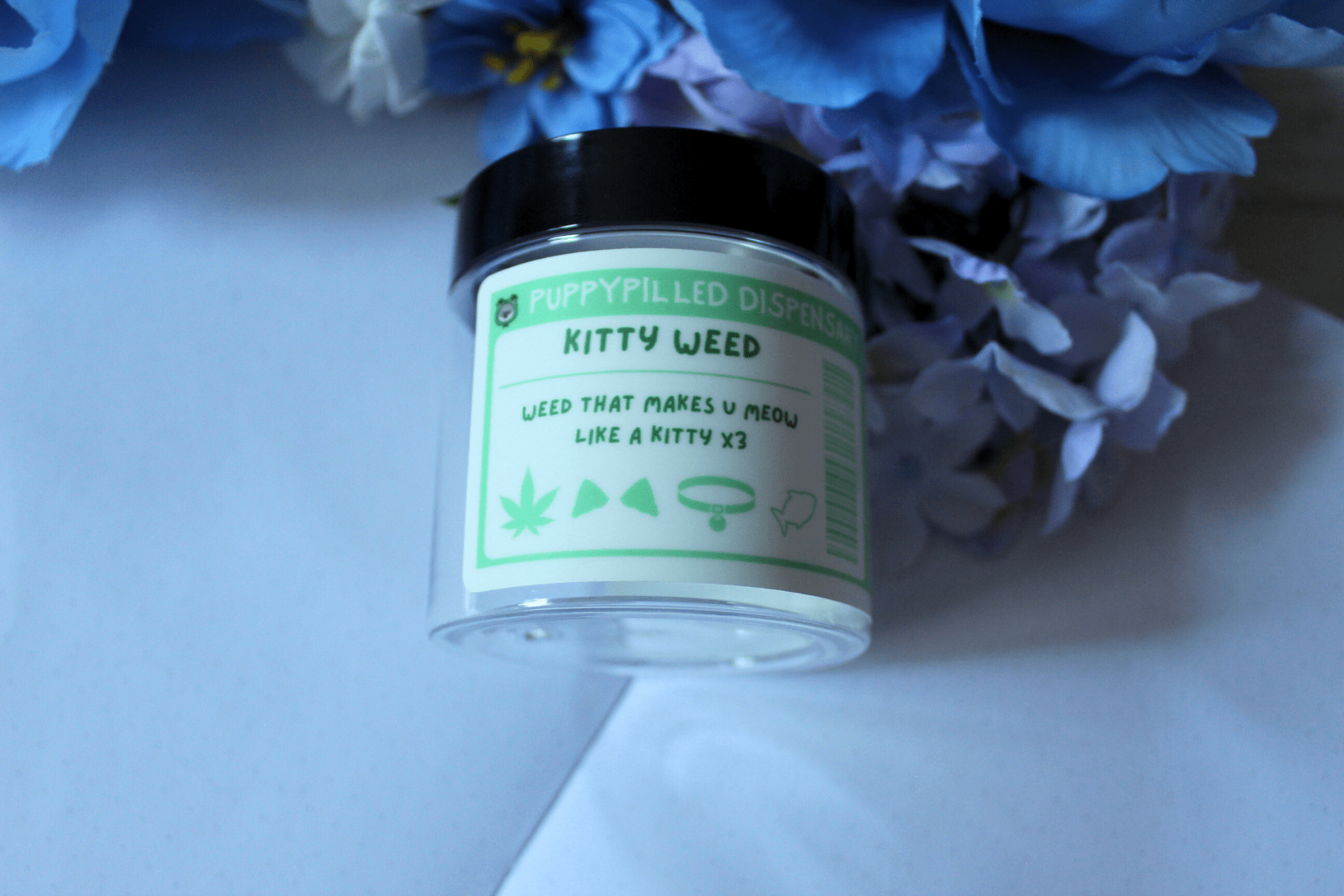 Kitty Weed/Catnip Stash Jars - puppypilled