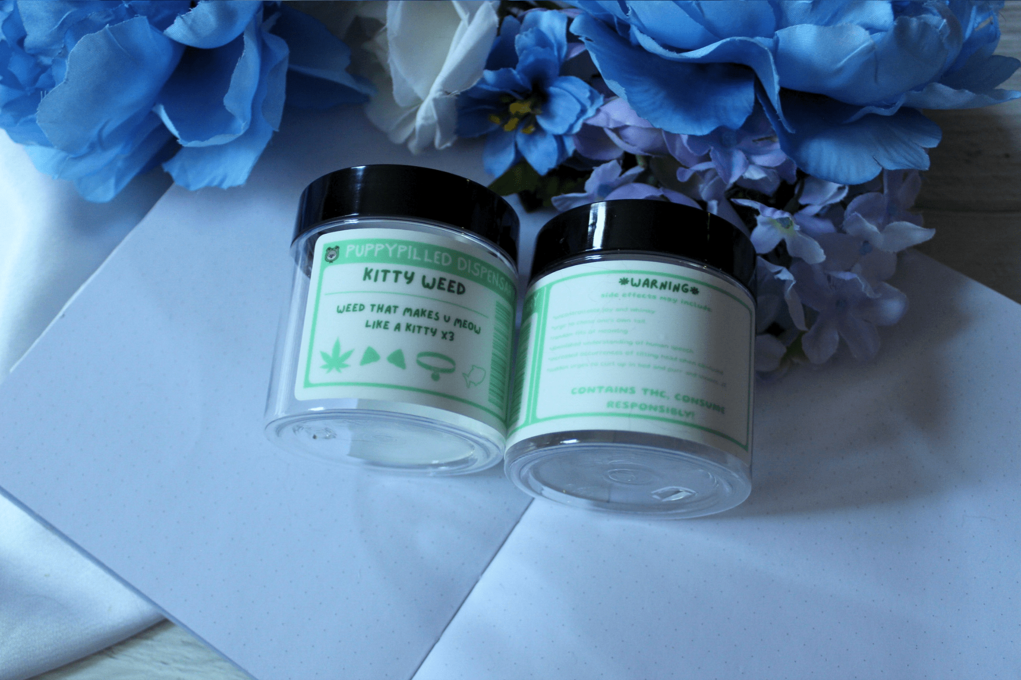 Kitty Weed/Catnip Stash Jars - puppypilled