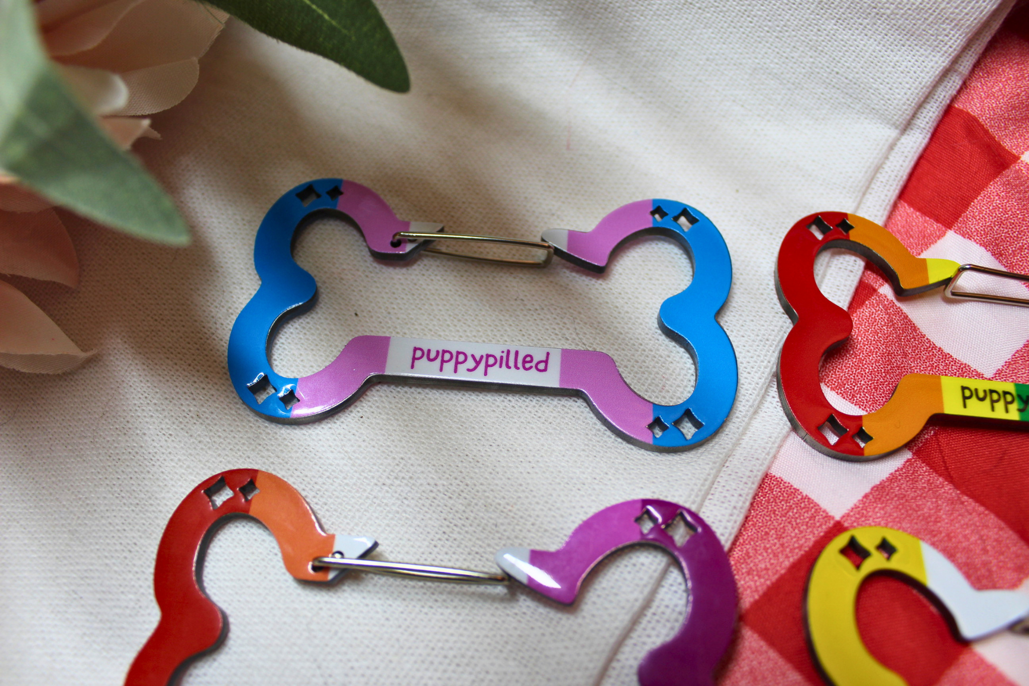 Leftover Carabiners (DEFECTIVE) - puppypilled