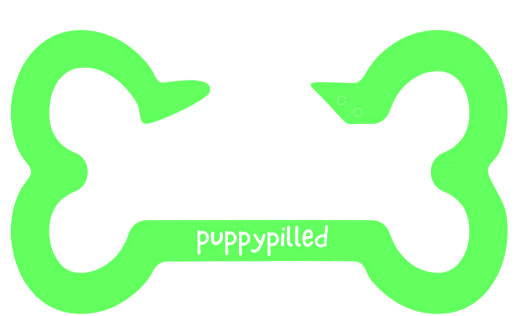 (PREORDER) Colorful Bone Carabiners! - puppypilled