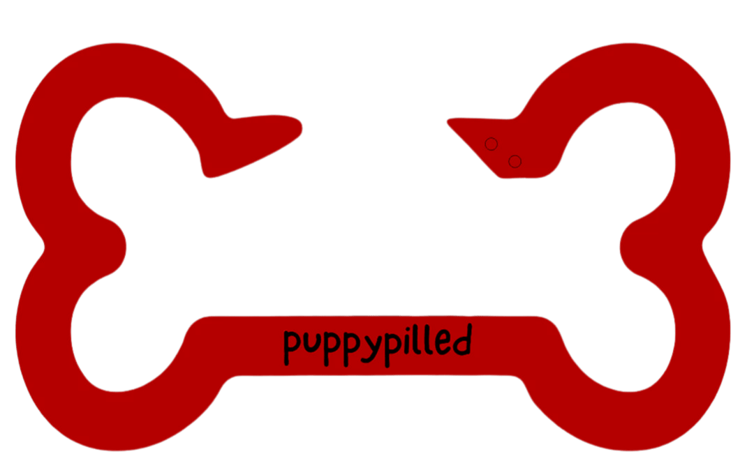 (PREORDER) Colorful Bone Carabiners! - puppypilled