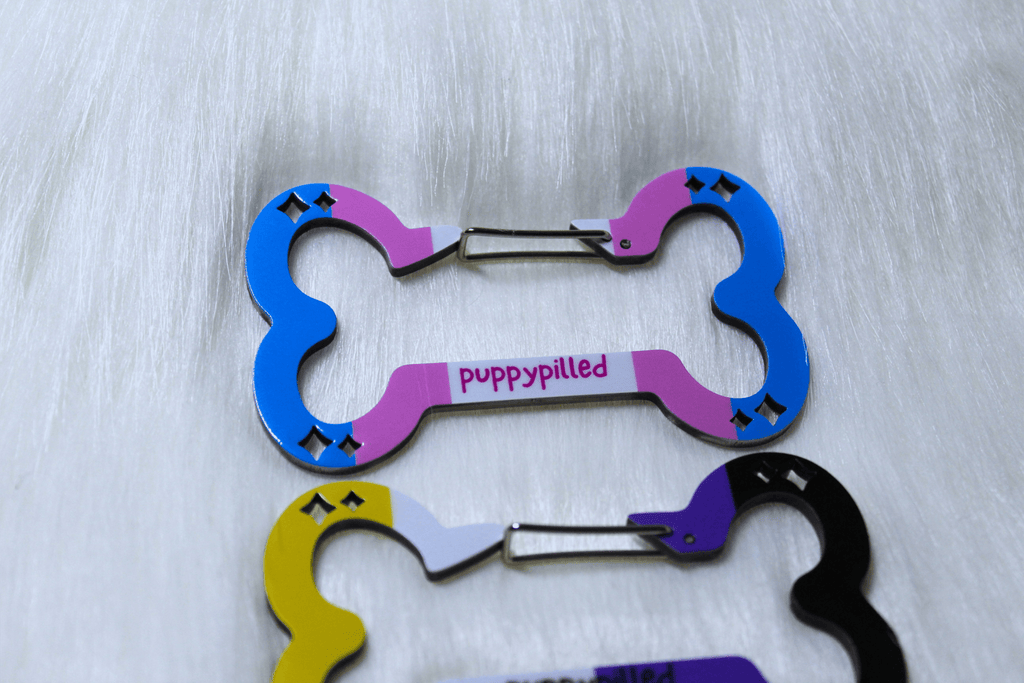 (PREORDER) Pride Carabiners! - puppypilled
