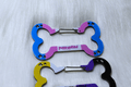 (PREORDER) Pride Carabiners! - puppypilled