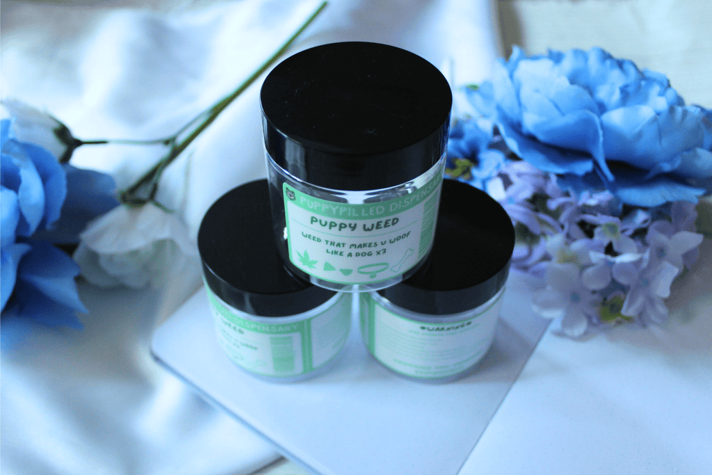 Puppy Weed Stash Jars - puppypilled