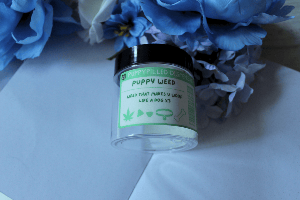 Puppy Weed Stash Jars - puppypilled